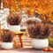 10 Bundles Artificial Fall Flowers for Outdoors Fall Decorations
